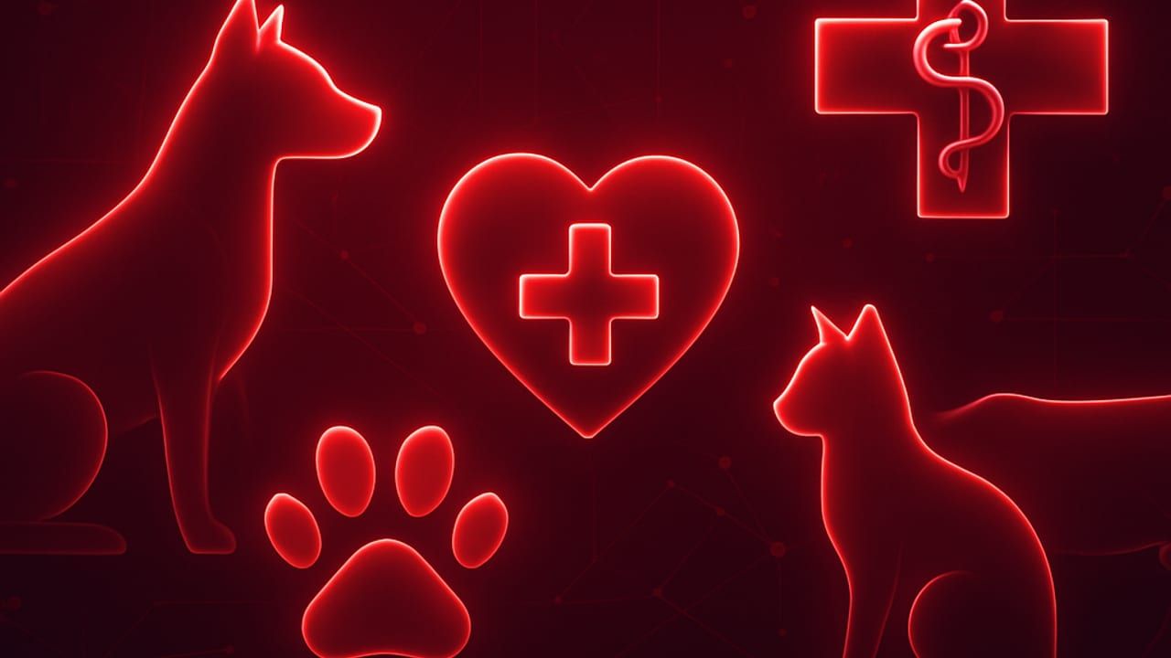 Top 10 Best Veterinary Clinics in Sudan