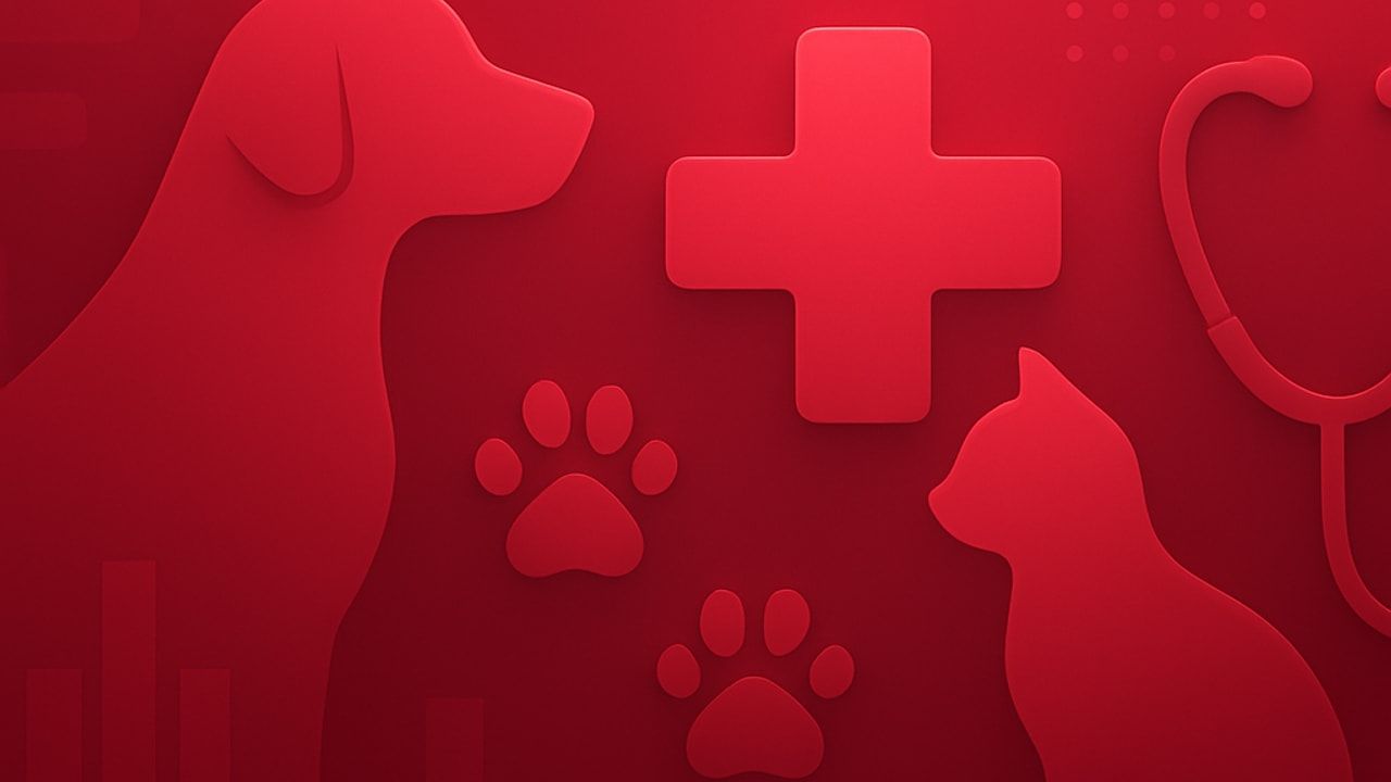 Top 10 Best Veterinary Clinics in Colombia